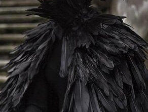 A cloak of black feathers on an unseen figure.